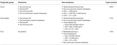 Psychosocial Issues in Long-Term Survivors of Testicular Cancer